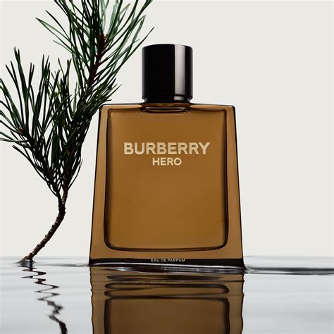 parfum burberry herren|burberry for men 100ml.